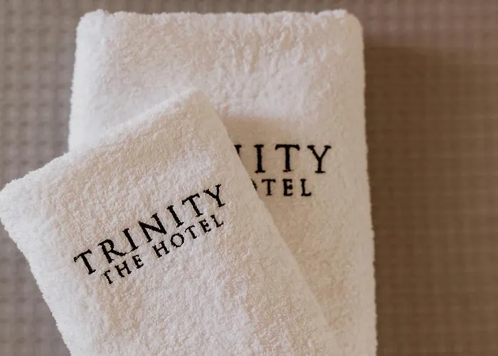 Отель Trinity The