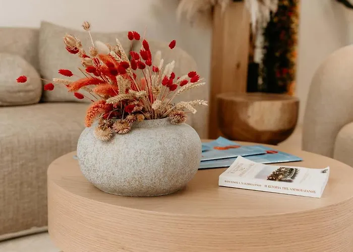 酒店 Trinity The 阿莫利亚尼岛